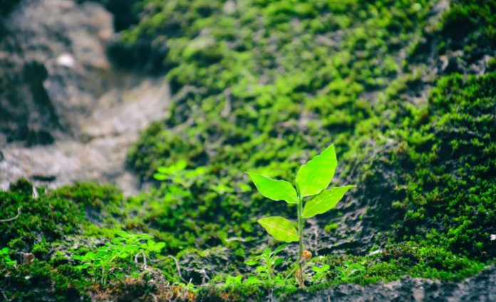 bruce-hong-YRD-AkNQasw-unsplash