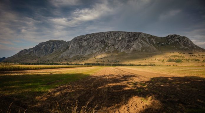 paul-mocan-w7__wDku2x0-unsplash