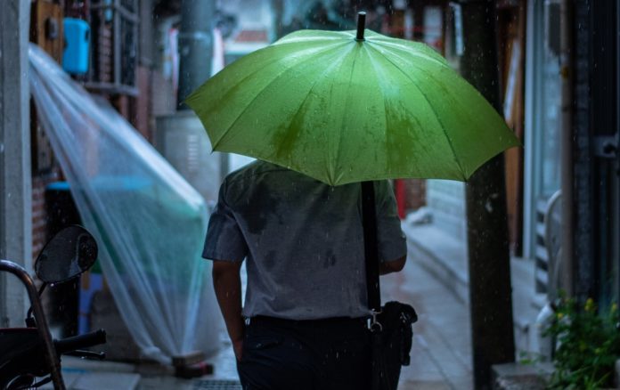 cj-dayrit-pE5JE-JG88g-unsplash