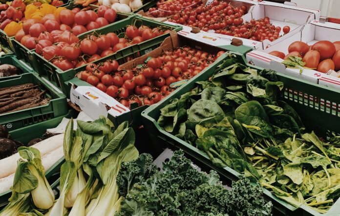 ashley-winkler-cz4rC-IRfxw-unsplash