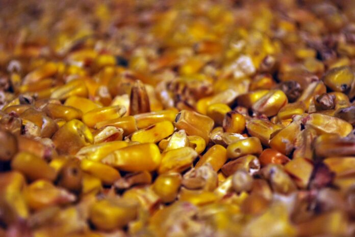 sergi-kabrera-5qeCawbRgfc-unsplash